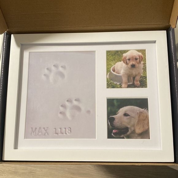 baby mushroom Accents Diy Pet Keepsake Photo Frame Kit By Baby